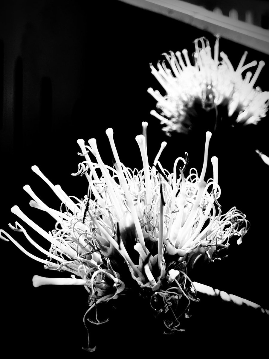 jimmy peggie tweet media