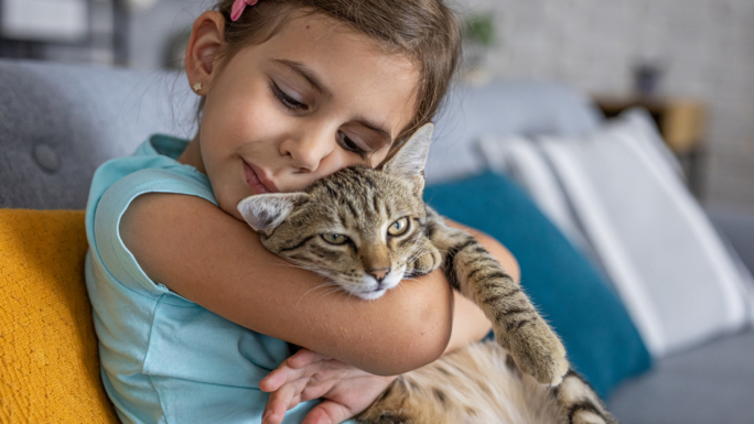 AnimalsHealthy tweet media