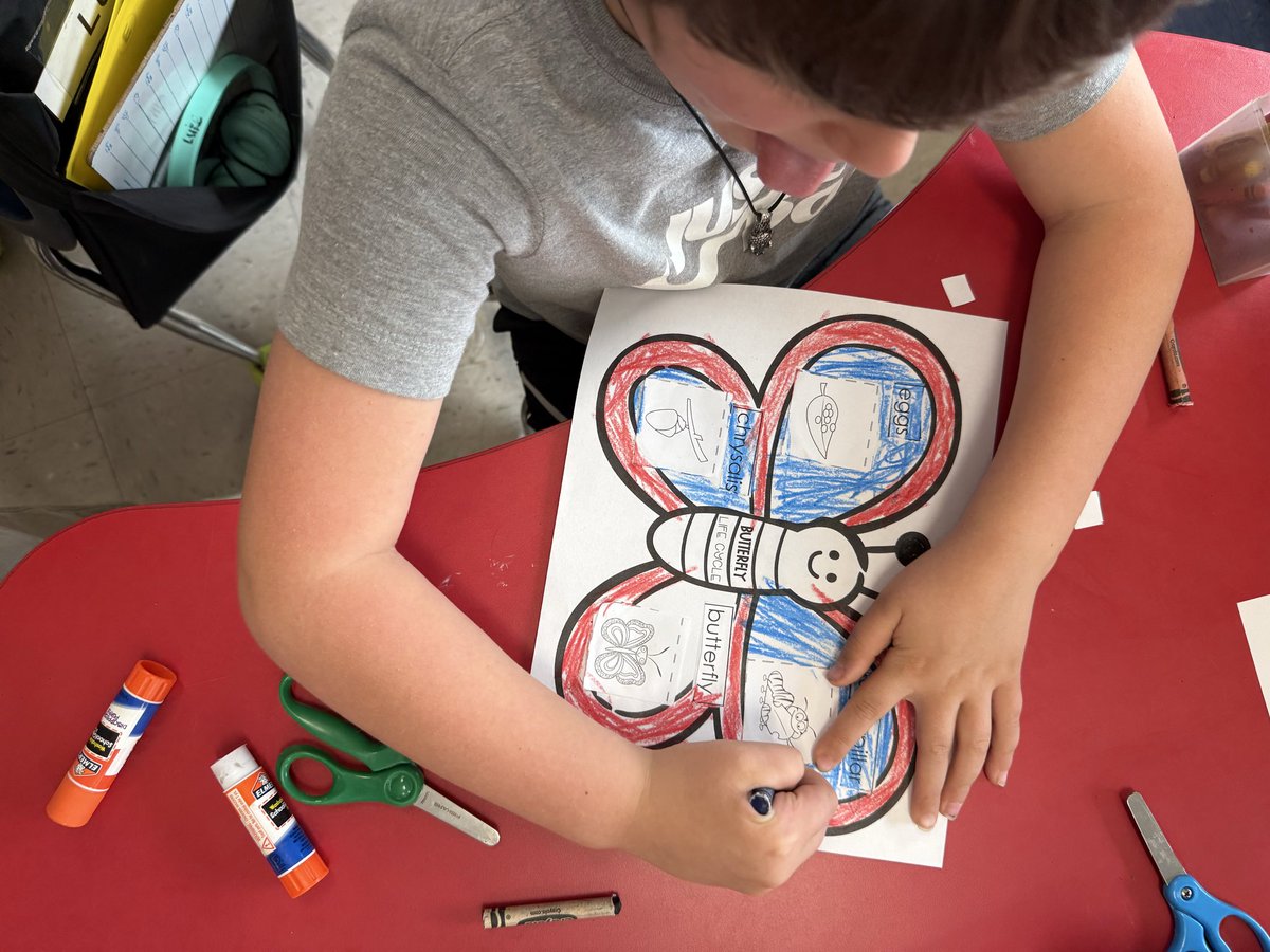 Ms. Volk tweet media