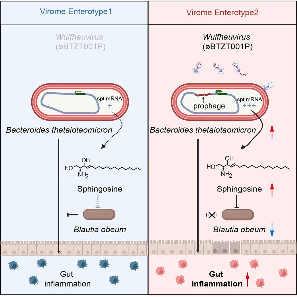 Cell Host & Microbe tweet media