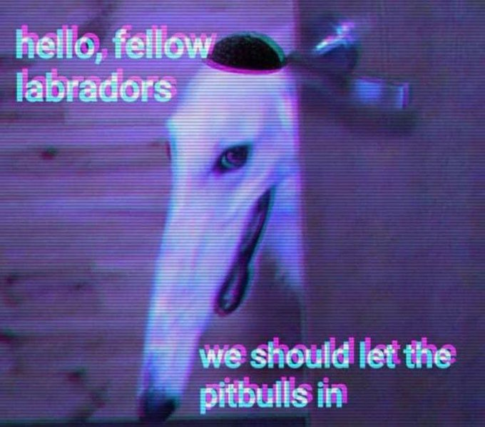 SoulTrapNoticer's tweet image. Hey K's, it's called blowback...#NowhereToRun