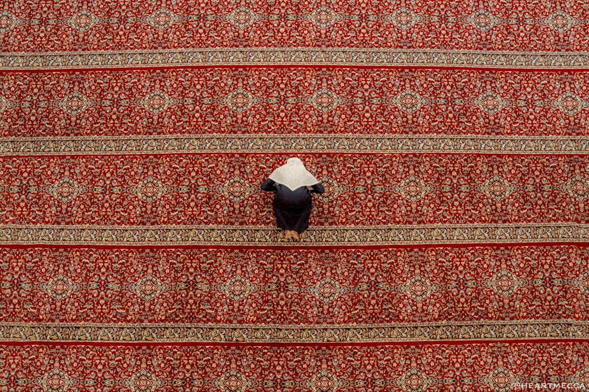 بَليـغٌ tweet media