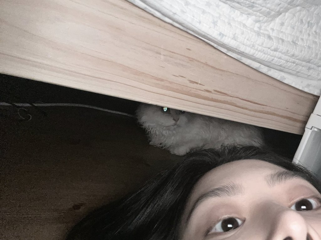 𝑯anna 𝑪assandra. tweet media