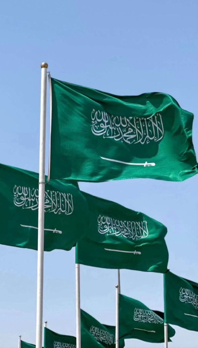 في #يوم_العلم_السعودي 🇸🇦
علمٌ يرمز للوحدة والعز والاعتزاز، وتاريخ وطنٍ لا ينحني.

نفخر بالانتماء لهذا الوطن العظيم، ونمضي في خدمة الإنسان وتعزيز صحة المجتمع.