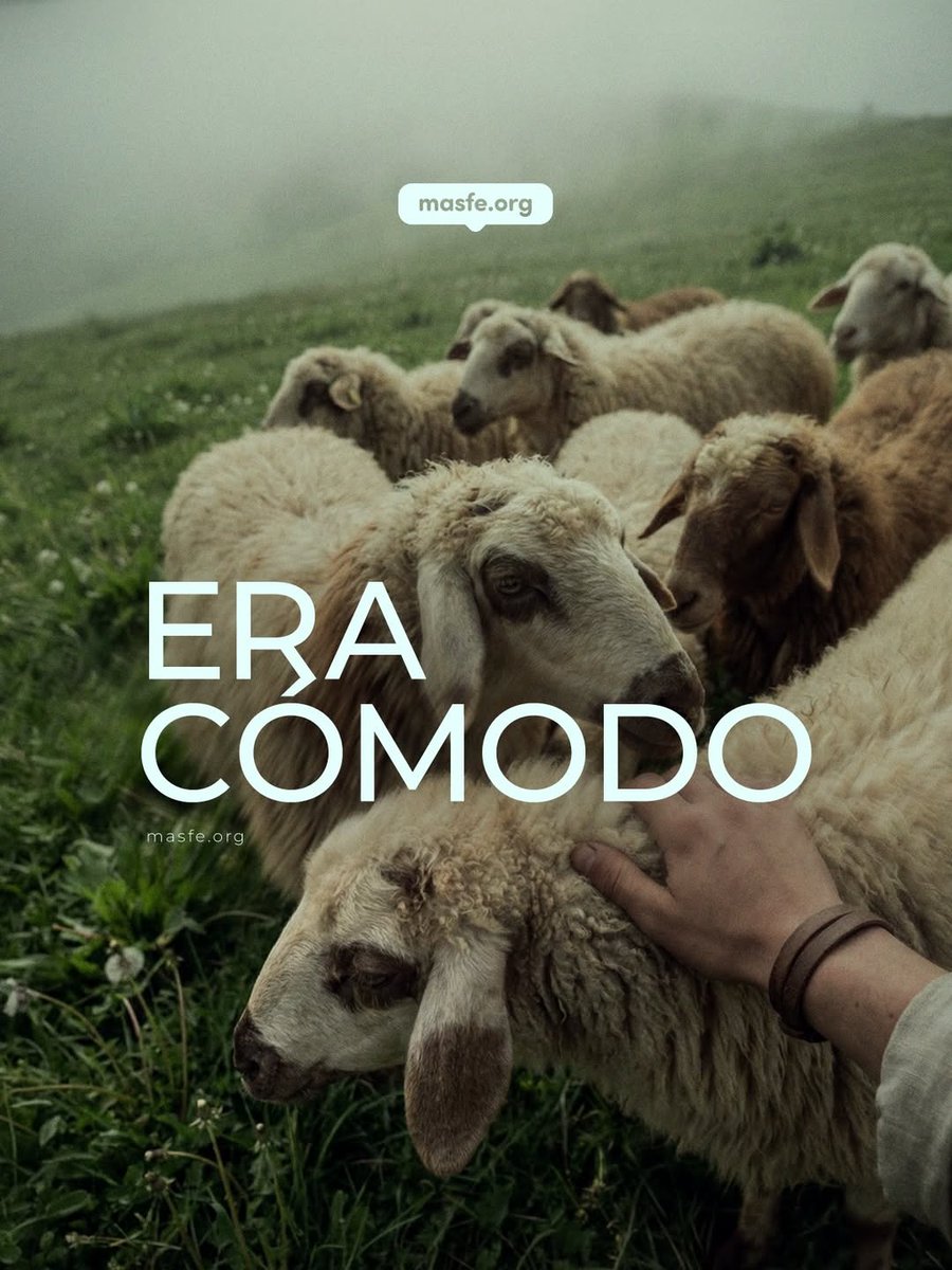 Masfe_org's tweet photo. A veces hay que dejar cosas buenas para elegir cosas mejores… cosas que fortalezcan nuestra fe en el Señor y nos acerquen más a Él ❤️

#masfe #calma #zonadeconfort #plandeDios https://t.co/5l8cjrVxlw