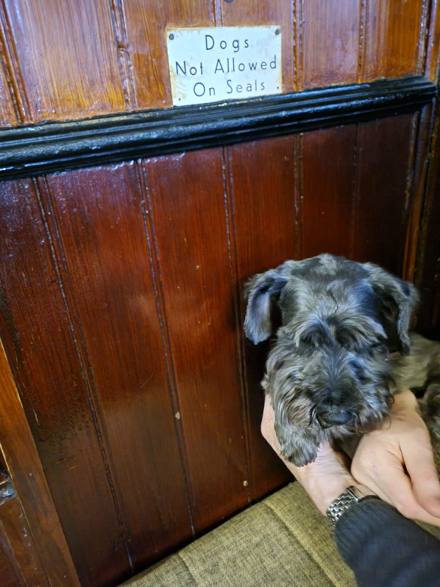 Dick Kimble MD PhD OBE MIA tweet media