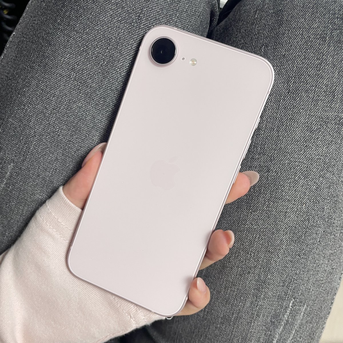 해사 ;🦋 tweet media