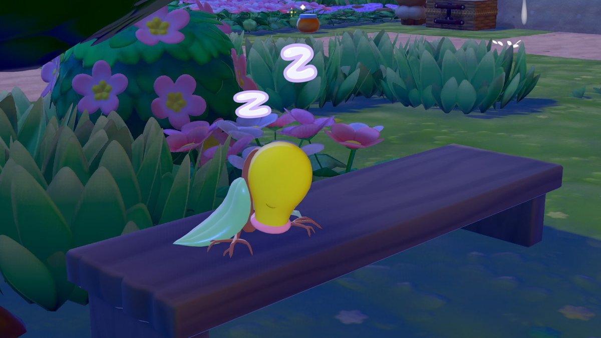 Kate Clarke tweet media