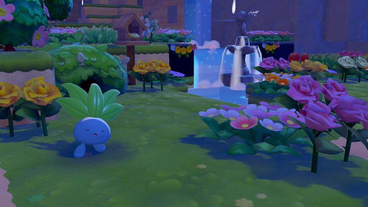 Kate Clarke tweet media