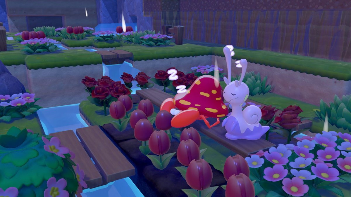 Kate Clarke tweet media