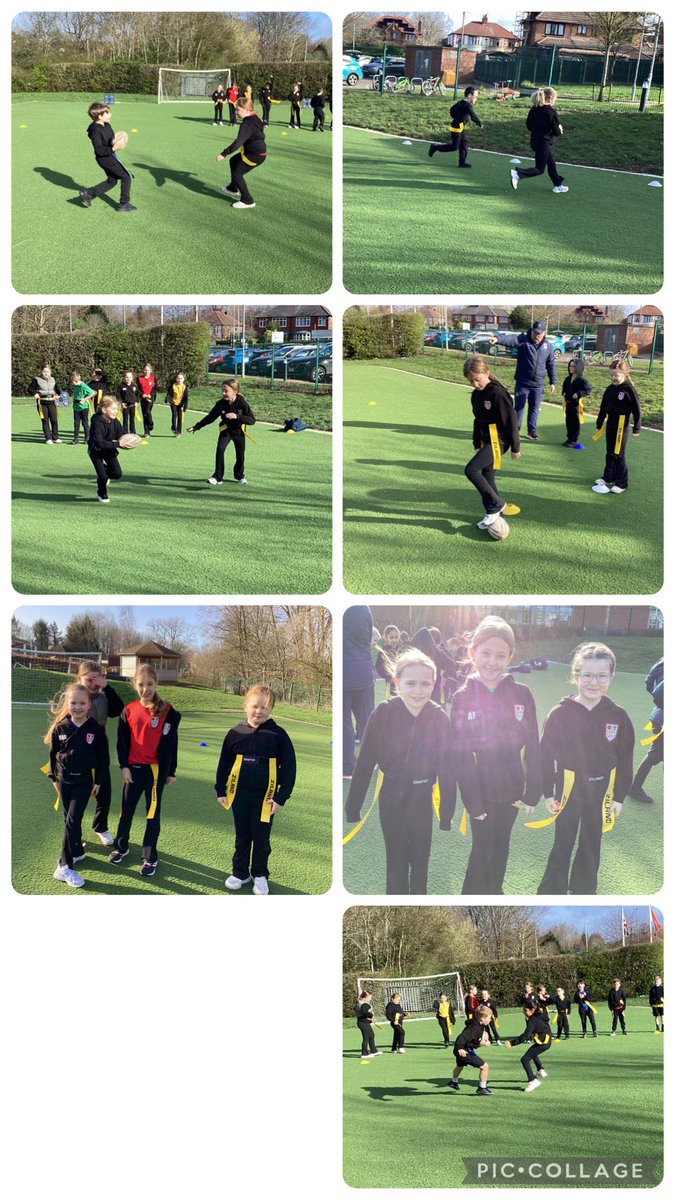 Elm Tree tweet media