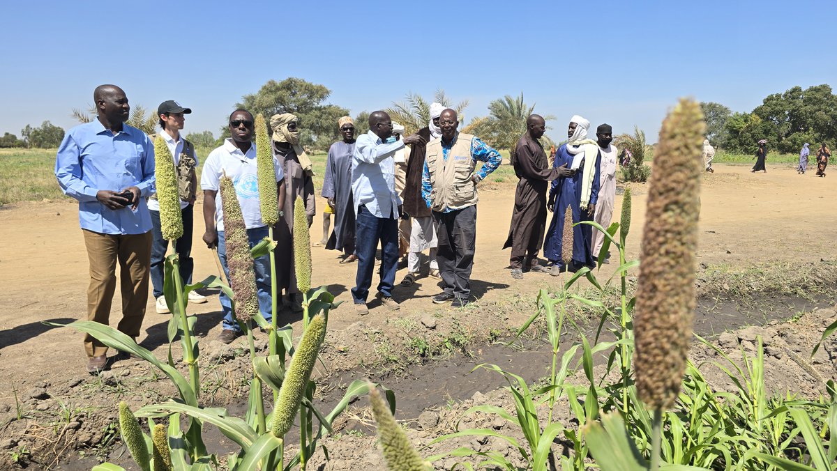 ☝️Never underestimate what determined women &amp; men can do (with irrigation, fertilizer, seeds, hard work and know-how), to transform the Lake Chad Basin, into the breadbasket of Central Africa.  Insiring visit to Hadjer Lamis where together with #SDGFunds &amp; <a href="/FAO/">Food and Agriculture Organization</a> , all is possible.
