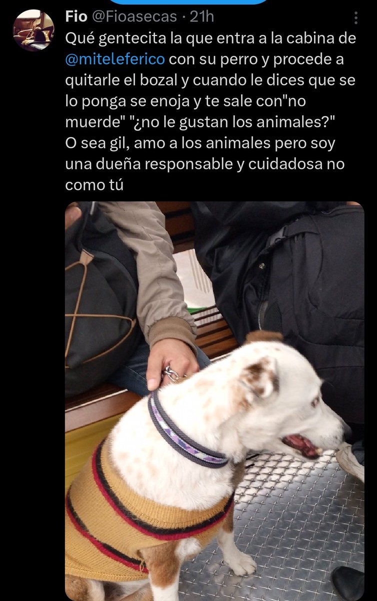 ulupiknT's tweet photo. https://t.co/oBUWcHFNMO