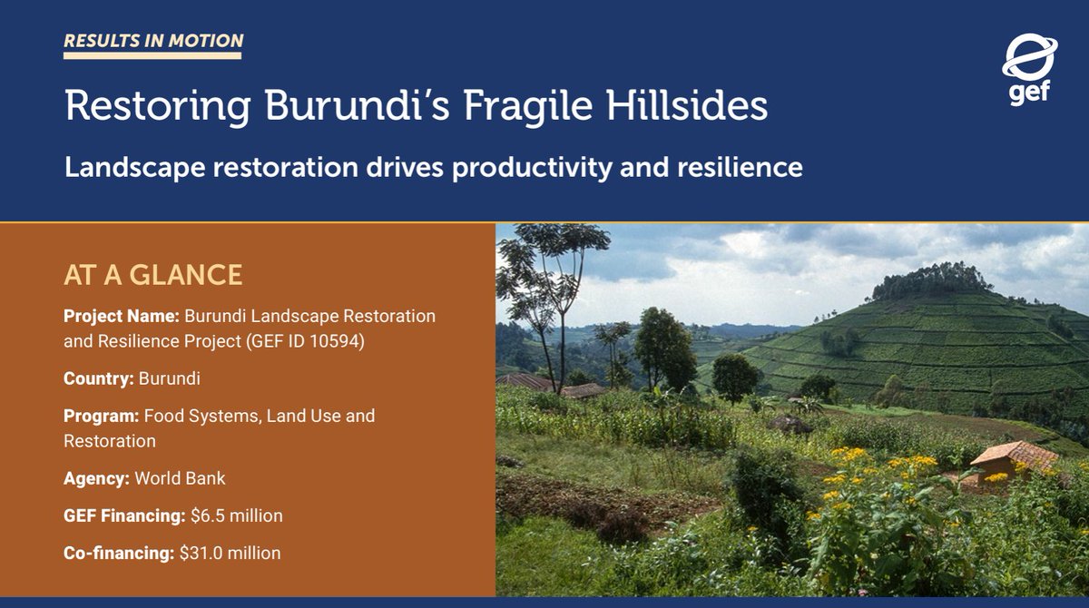 Global Environment Facility (GEF) tweet media