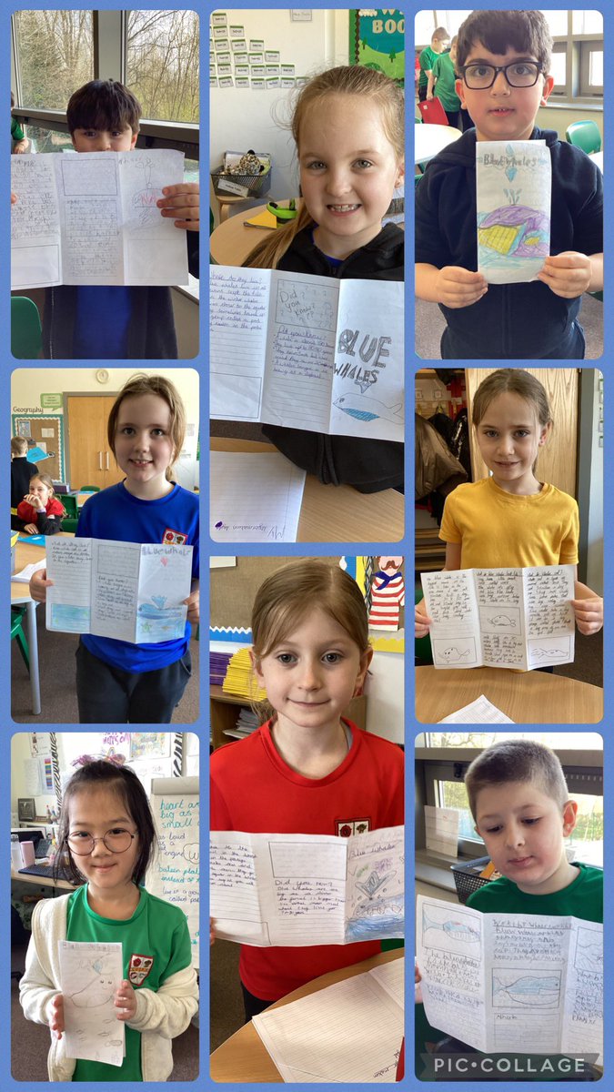 Elm Tree tweet media