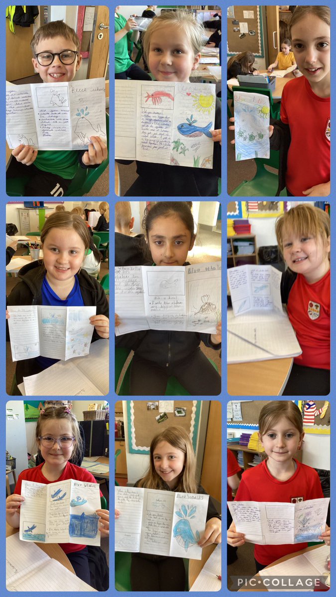 Elm Tree tweet media