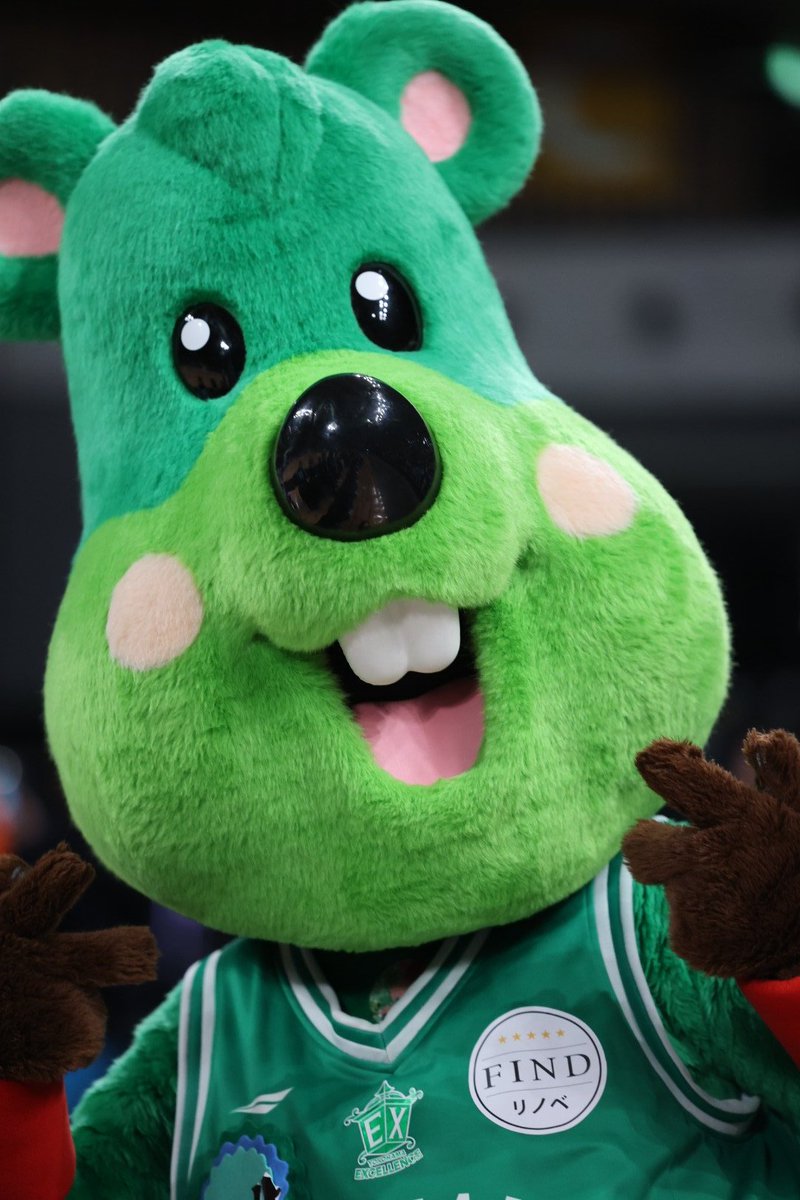 TokyoAncanale's tweet image. おはようございます。
木曜日も頑張っていきましょう！

#横浜エクセレンス 🏀のマスコット #Roll と #Pick 💚
君たちも来てくれてありがとね！
#TUBC 対 #湘南ユナイテッドBC
撮影日:2026.3.9
於有明アリーナ(メイン)