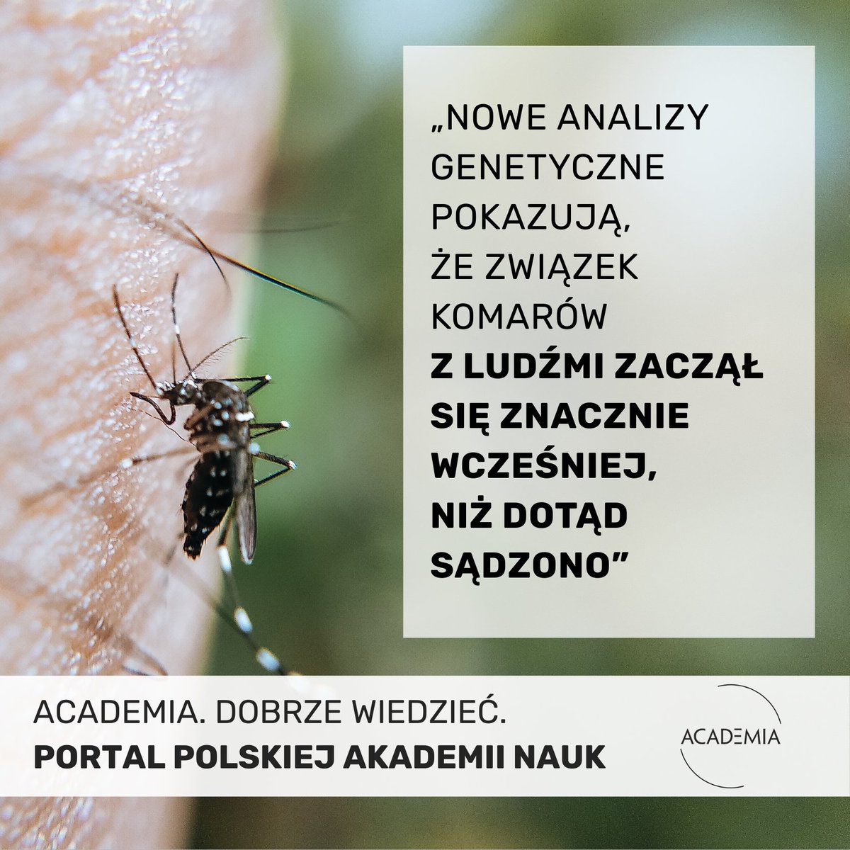 🦟 Najbardziej śmiercionośne zwierzę świata? Nie rekin, nie wąż i nie tygrys. To… komar. 

Choroby przenoszone przez te owady zabijają co roku ponad 600 tys. ludzi, głównie z powodu malarii.

Nowe badania pokazują jednak coś jeszcze ciekawszego: relacja między komarami a ludźmi