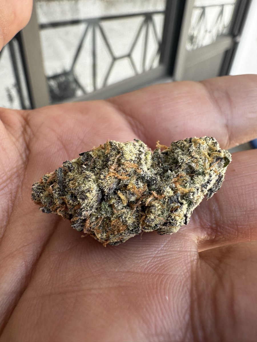 #SKUNKPILONES420 tweet media