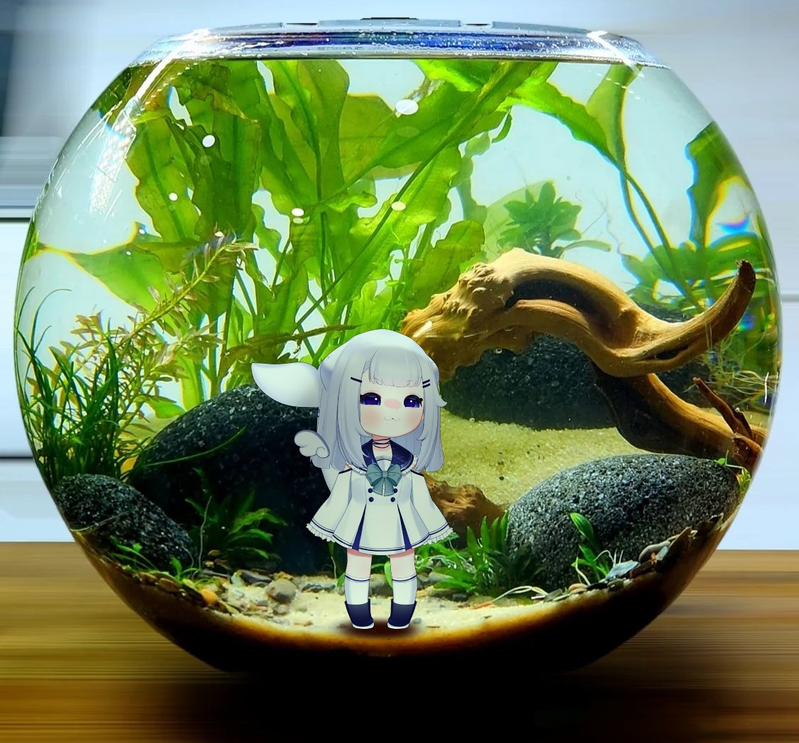 Namie 🐳 tweet media