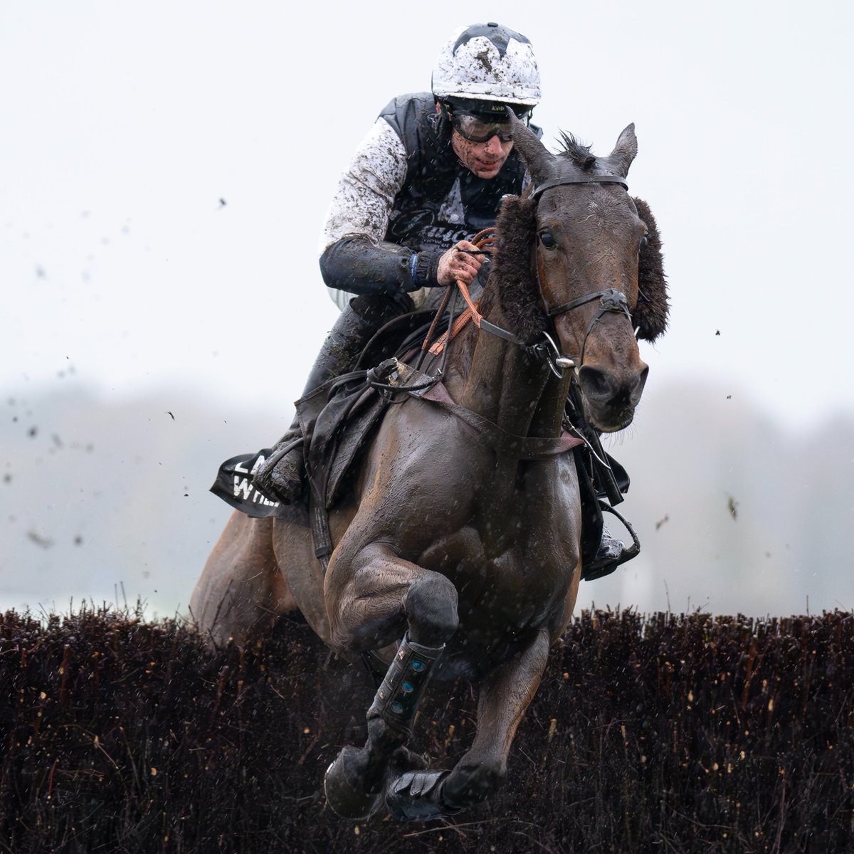 Racing Post tweet media