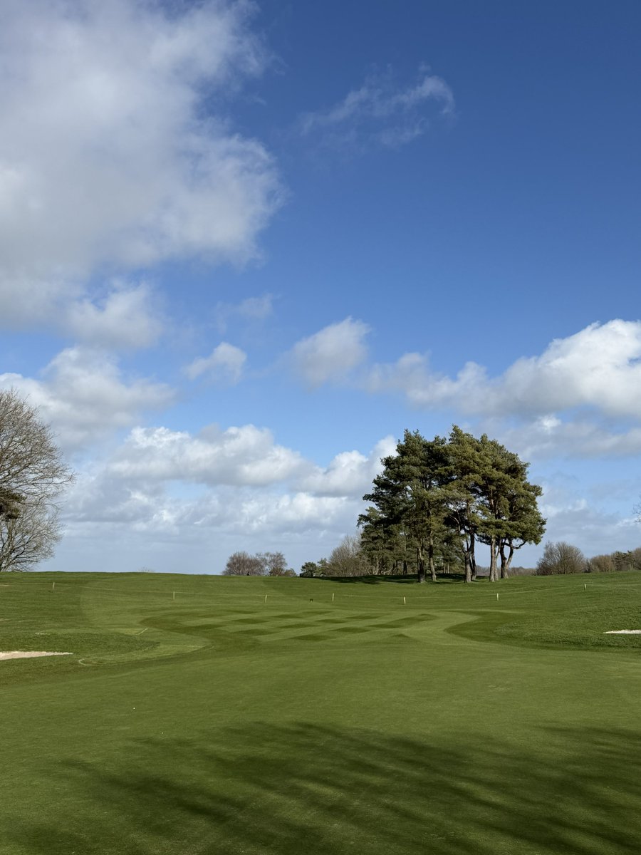 Peter Meek tweet media