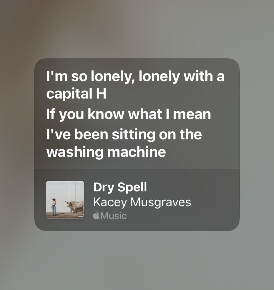 KahanArchive's tweet image. KACEY??!;&amp;amp;;&amp;amp;;