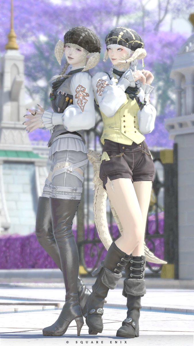 𝗥𝗢𝗔 tweet media