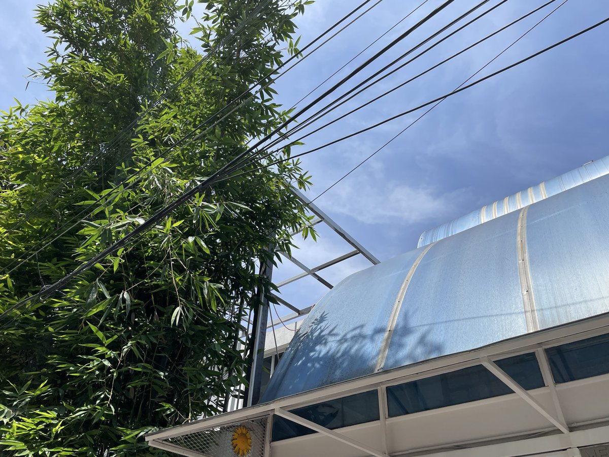 JuaneloLopezG's tweet photo. @CFEmx Buen día, ¿podrían ayudarme a podar estos bambus que están afectando la instalación eléctrica? https://t.co/lLqoRmcviW