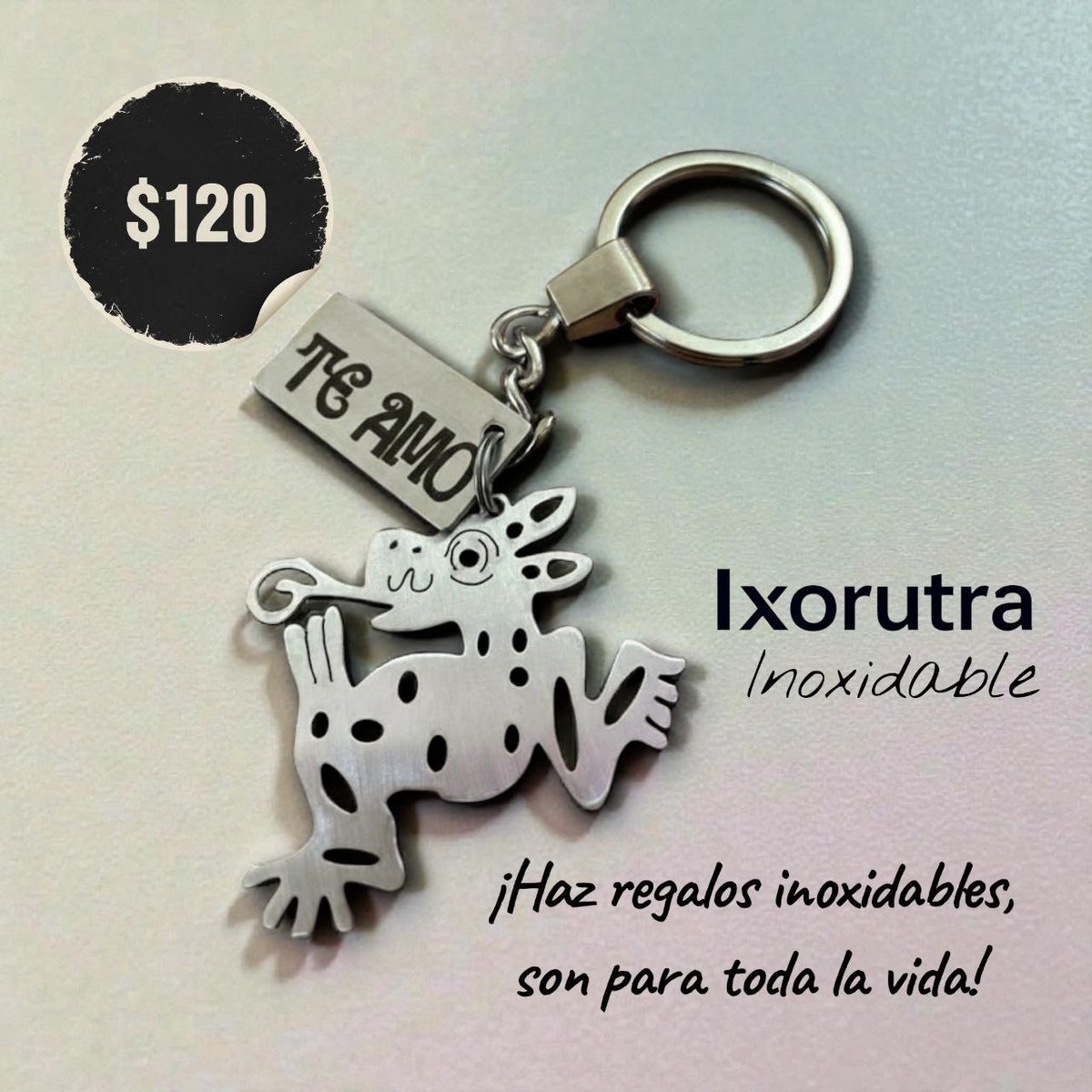 ixorutra1's tweet photo. ¡Para el Acero Inoxidable, el tiempo si se detiene muchos años!

#caifanes #CaifanesMX #IXO #Ixorutra #IxorutraInoxidable https://t.co/1Q8KWBHB2g