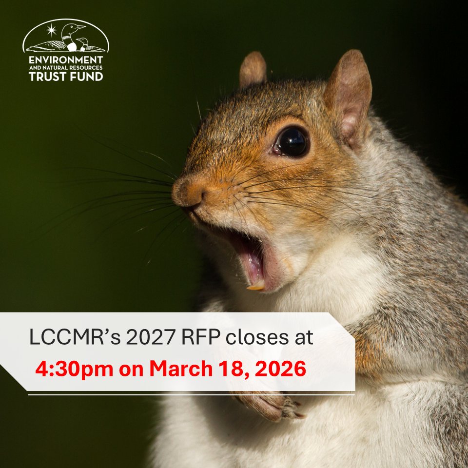 MN ENRTF tweet media