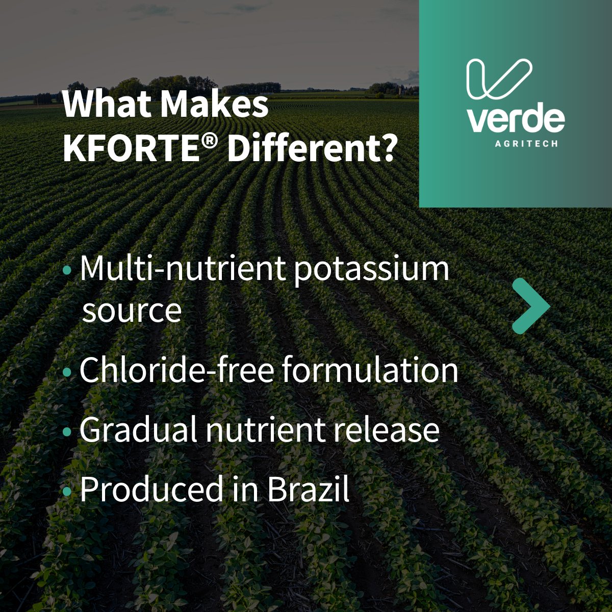 Verde AgriTech - Investors tweet media