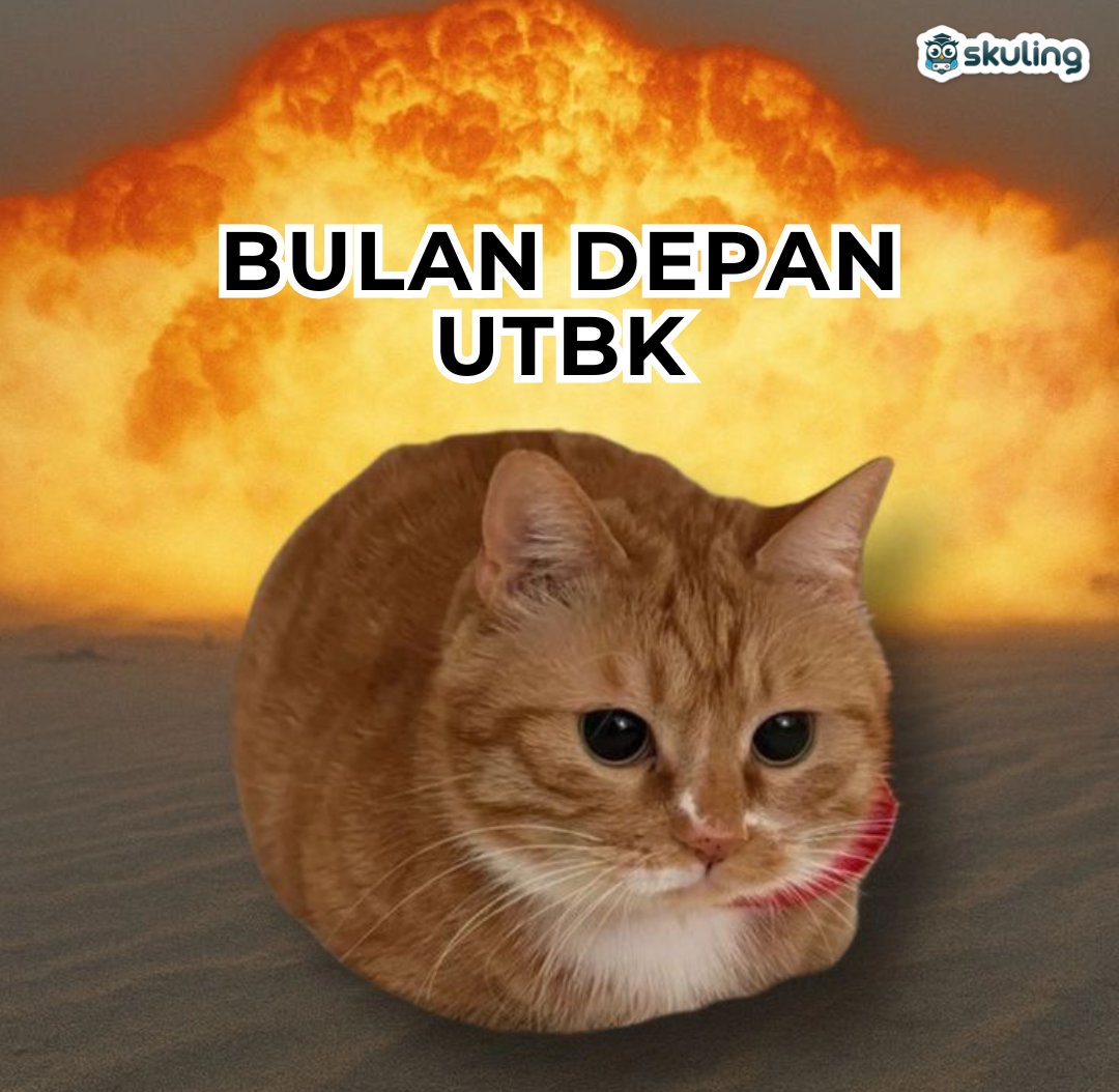 Skuling | Latsol & TO SNBT, TKA, Kedinasan tweet media