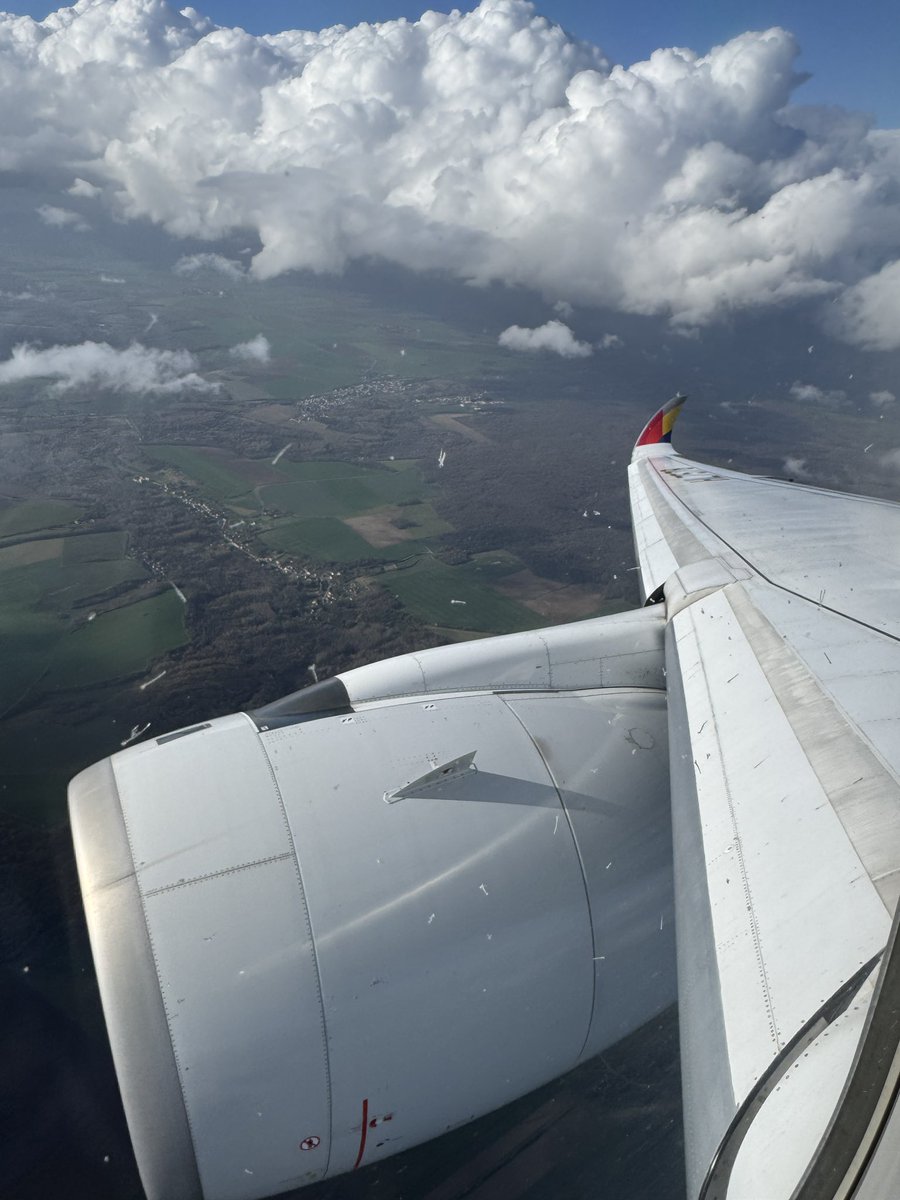 토끼풀🍀 tweet media