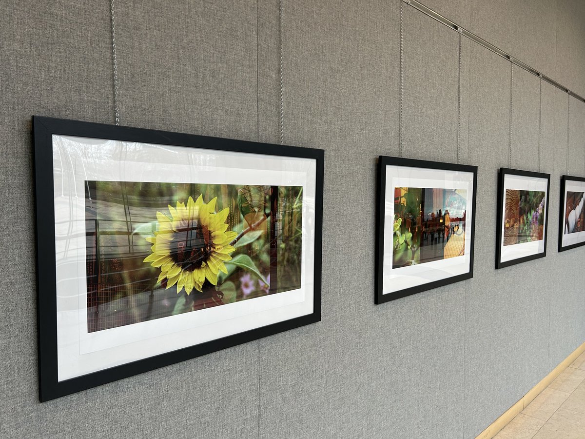 Richmond Art Gallery tweet media