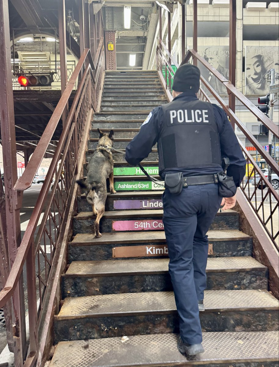 CPD_Transit tweet media