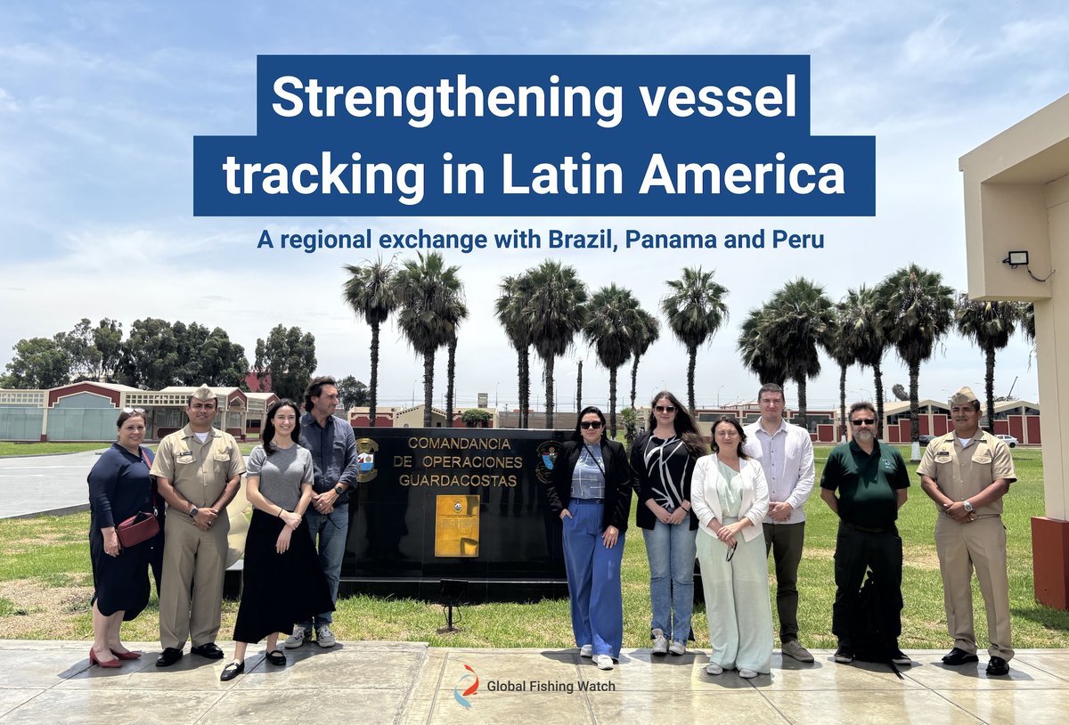 Global Fishing Watch tweet media