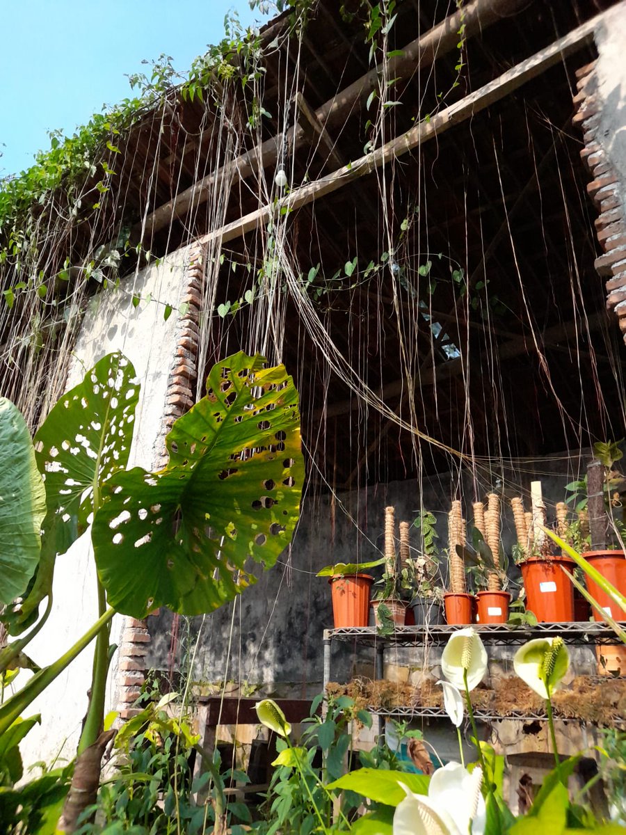 Ana 🐱 tweet media