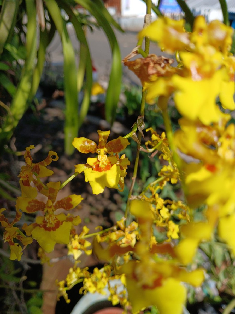 Ana 🐱 tweet media