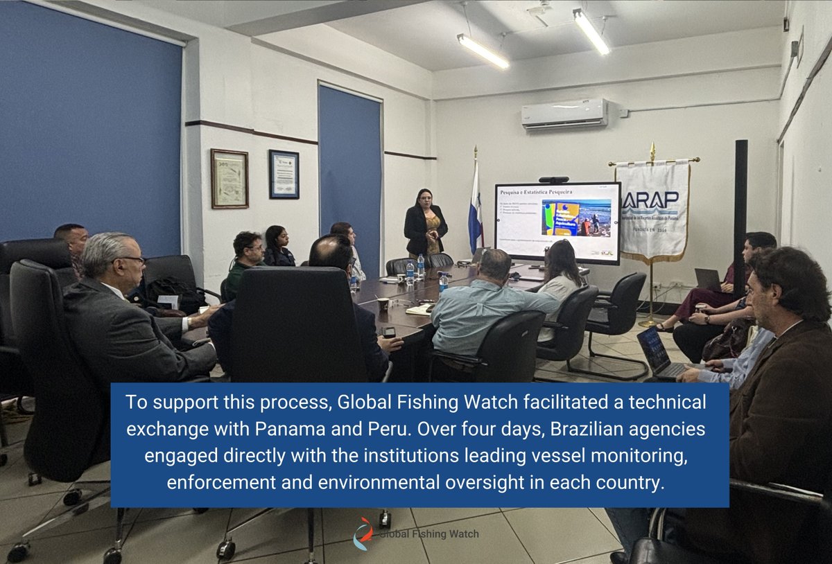 Global Fishing Watch tweet media