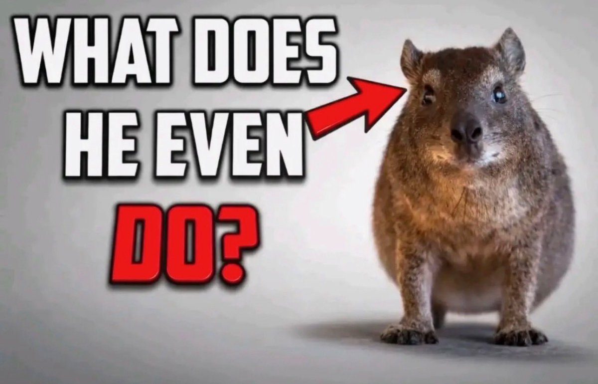 lanika ‼️ tweet media