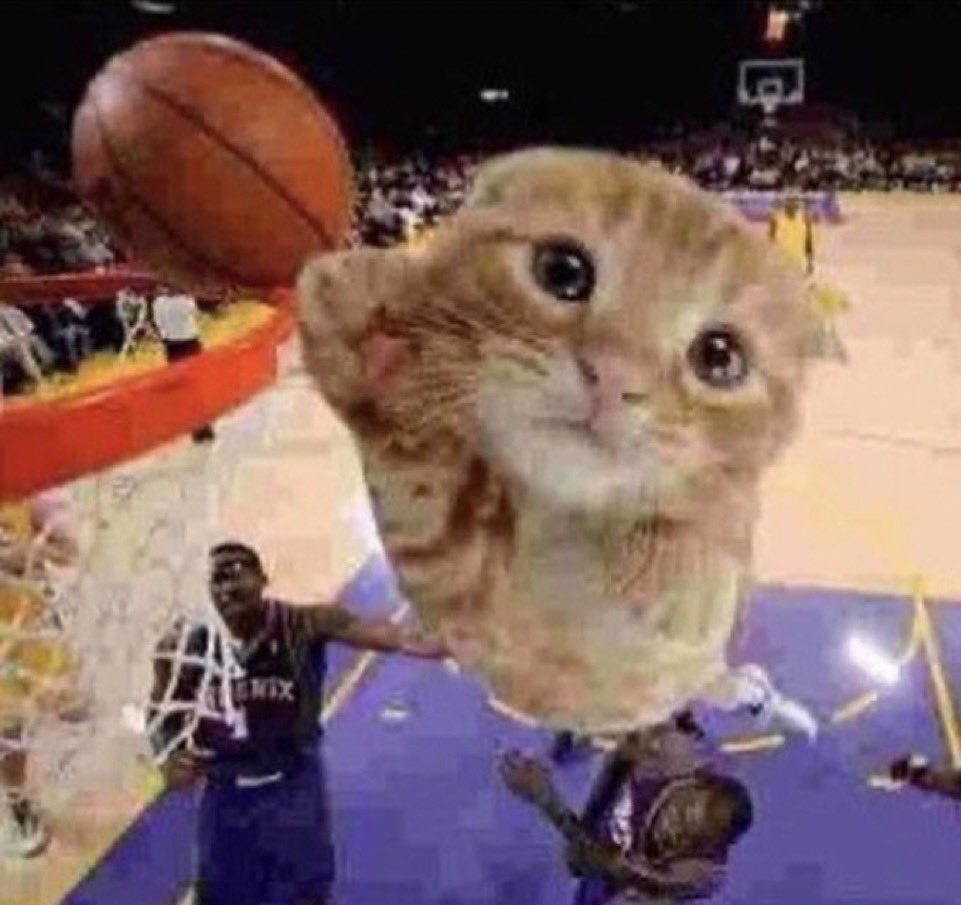 lanika ‼️ tweet media