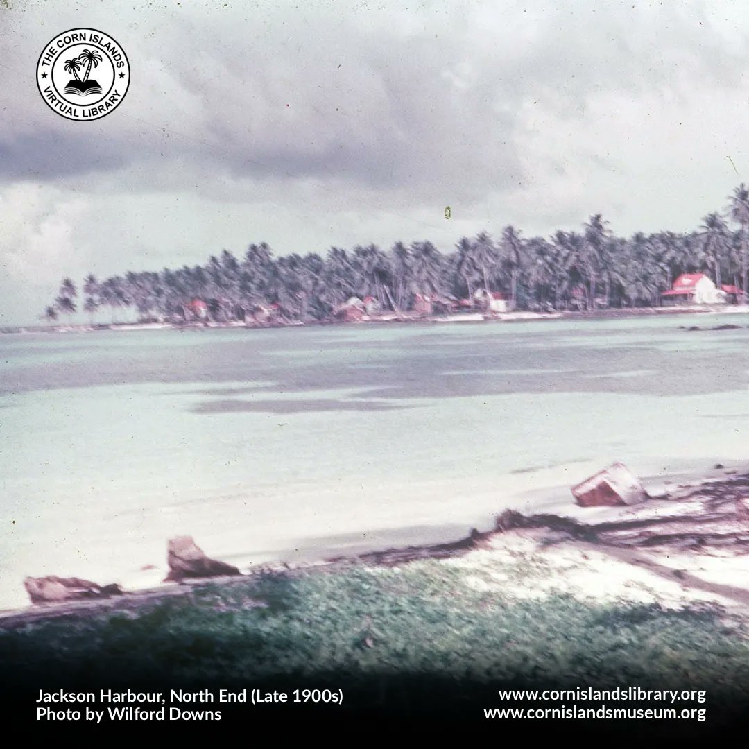 The Corn Islands Virtual Library tweet media