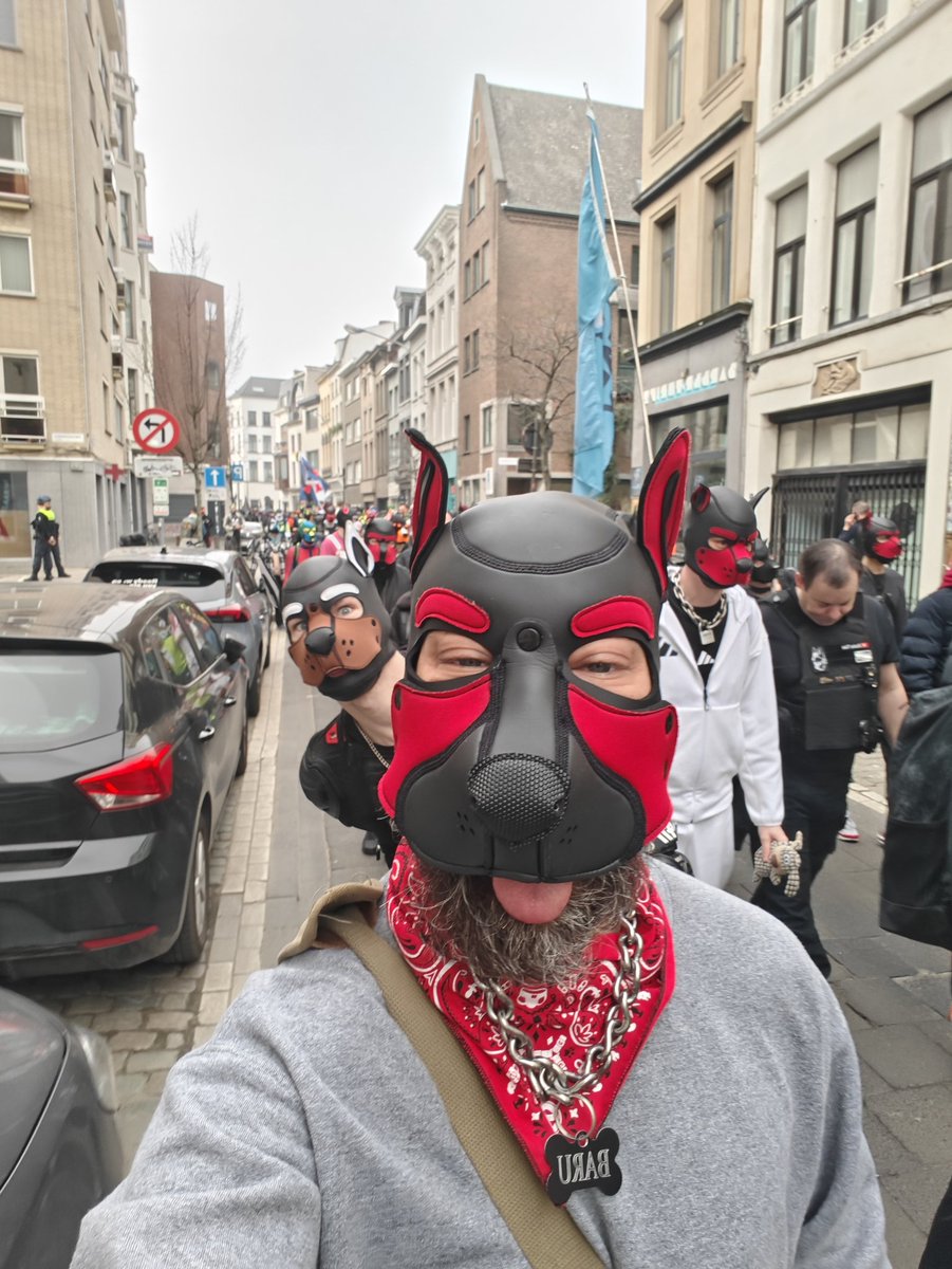 subfox87's tweet photo. My first Darklands was beyond amazing. Such amazing energy, playful pups and kink community.

#beyonddarklands2026 #gaypup https://t.co/T4gZhluDck