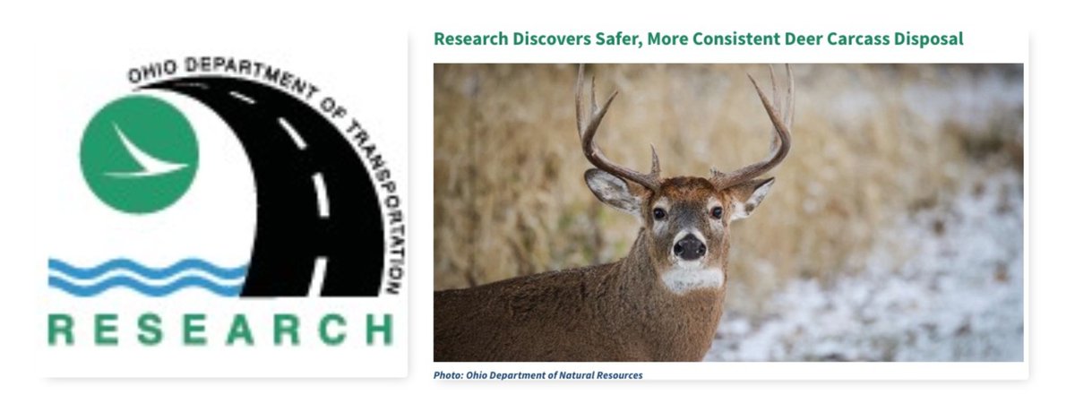 StoneEnvironmen's tweet photo. STONE’s recent research on deer carcass disposal methods has been highlighted in the Ohio Department of Transportation Research Program newsletter, “Moving Forward.”
We invite you to check out the feature and explore ODOT’s other research initiatives here: https://t.co/8dq69Ma7s8 https://t.co/TV9rAoN19v