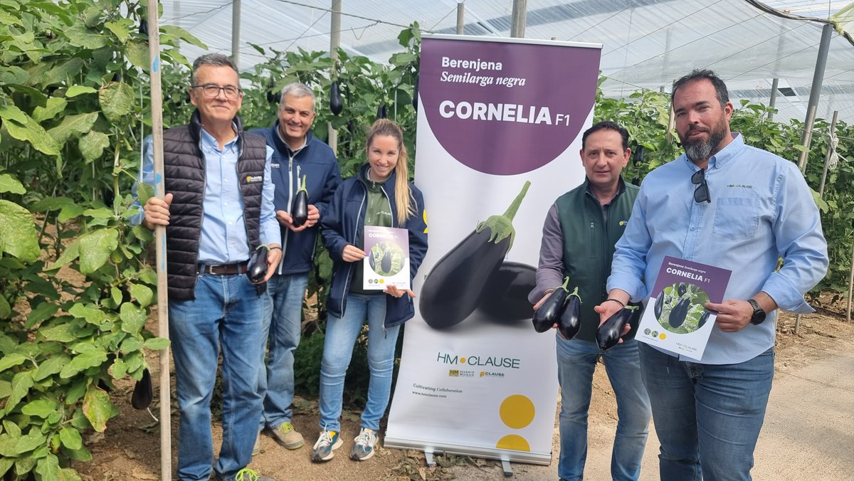 FHALMERÍA 🌱 tweet media