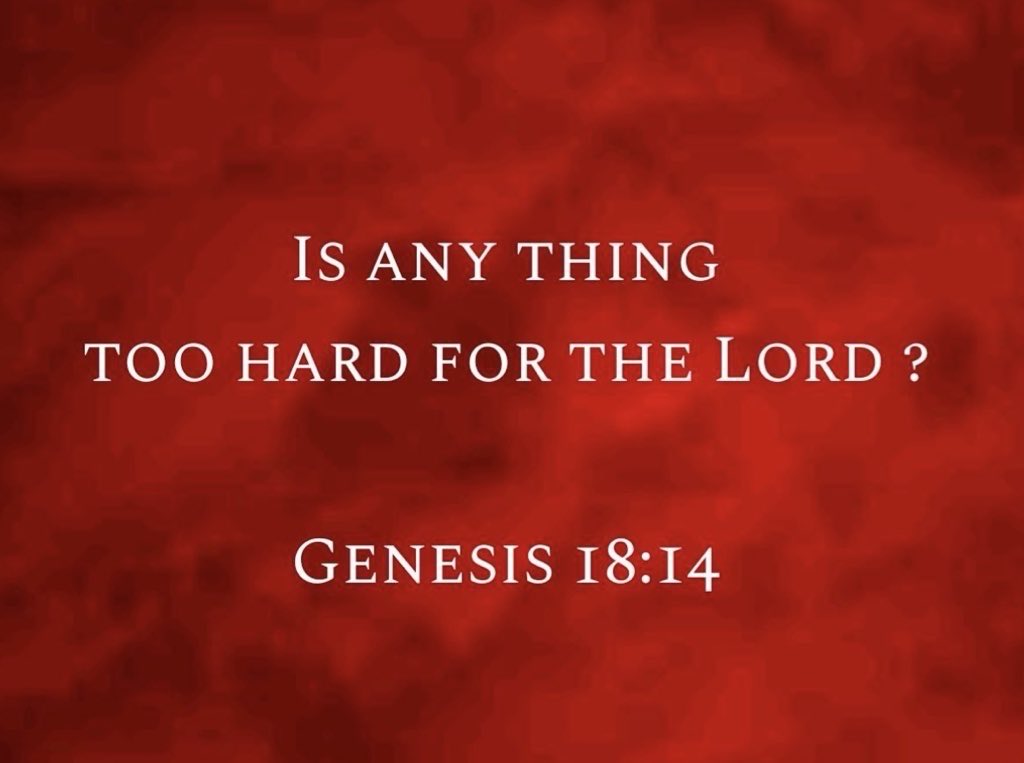 Saltlife1👠 tweet media