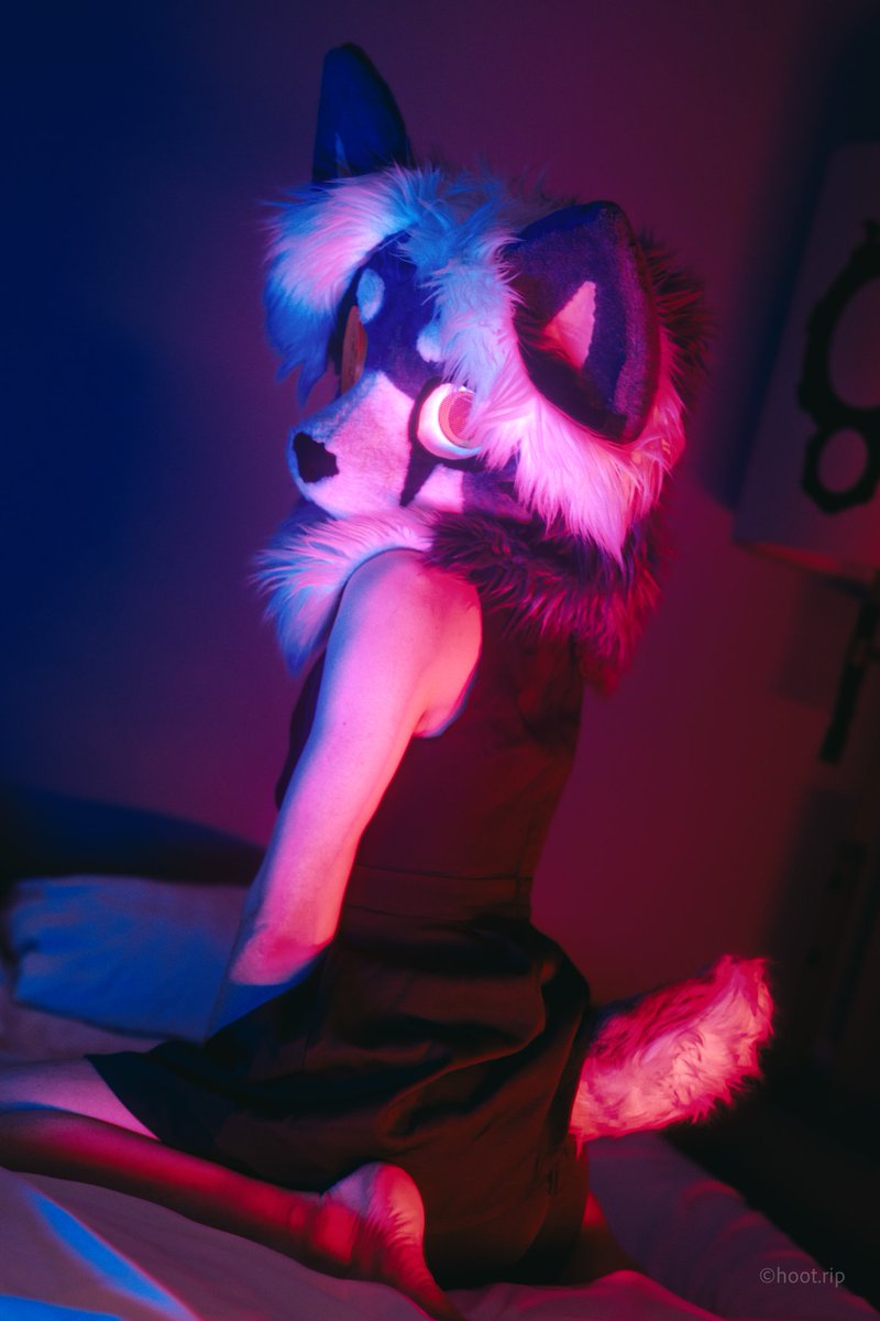 daphur.bsky.social😼🦌 🔜 NFC, ATT, Fzn, EF, Fnv tweet media