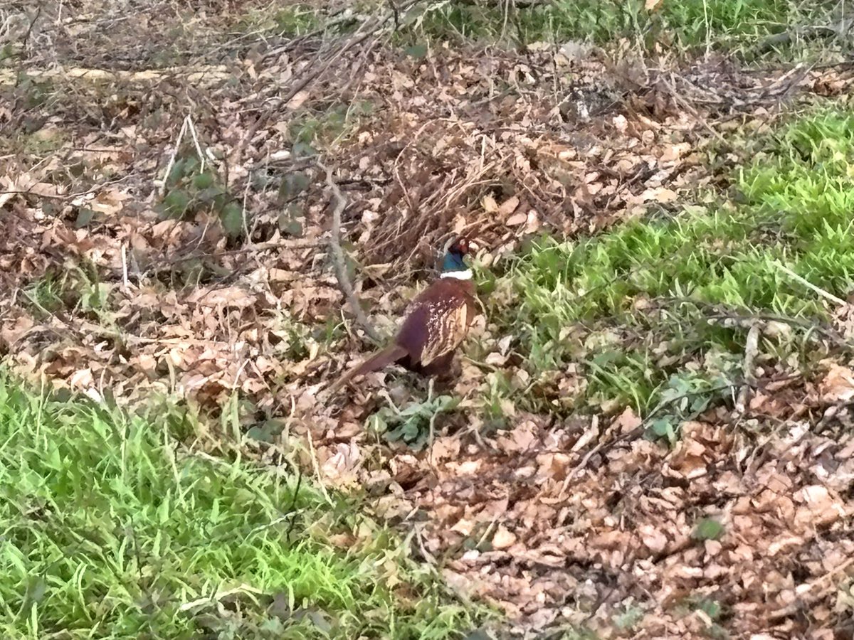 Barton Creeth tweet media