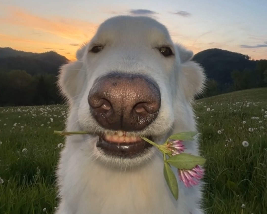 โฆ โ ๐
๐๐๐๐๐๐๐. tweet media